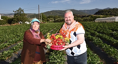 Menemen'de “Çilek Tadında Festival”