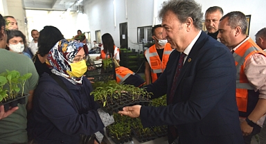 Bornovalılara Ücretsiz Meyve Fidanı