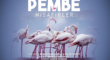 Çiğli'nin “Pembe Misafirlerine” Berlin'den Güzel Haber