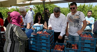 Kuşadası’nın Şeftalisinin Tadı Sınırları Aştı