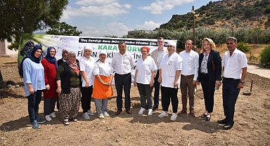 Menemen'de Tarımda Bir İlk