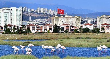 Flamingolar İzmirlileri Büyülüyor