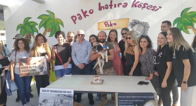 4 Ekim Hayvanları Koruma Günü Pako'da Kutlandı