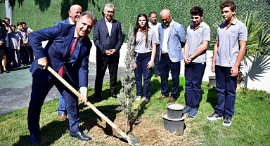 Bornova Belediyesi Sahipsiz Zeytinlere Sahip Çıkıyor