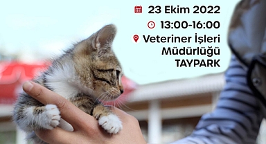 Karşıyaka’da Can Dostlara Sıcak Yuva Aranıyor