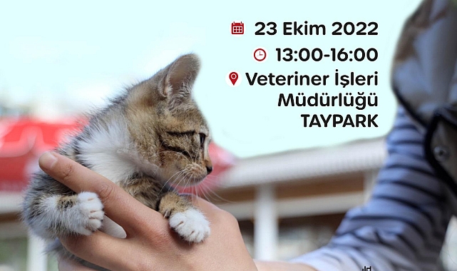 Karşıyaka’da Can Dostlara Sıcak Yuva Aranıyor