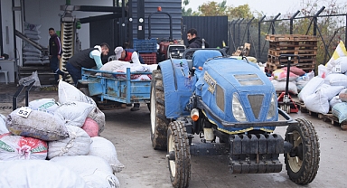 Kemalpaşa Belediyesi’nin Zeytinyağı Fabrikası Üreticiler Tarafından Yoğun İlgi Görüyor
