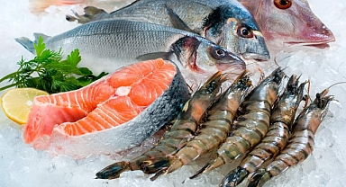 Muğla, su ürünleri ihracatında Türkiye lideri