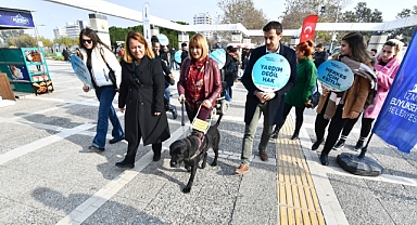 Rehber Köpekler Toplu Ulaşımda