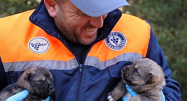 Buca Belediyesi can dostlarına her ay 3 tona yakın atık yemek dağıtıyor