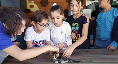 Buca’da can dostları sahipsiz değil
