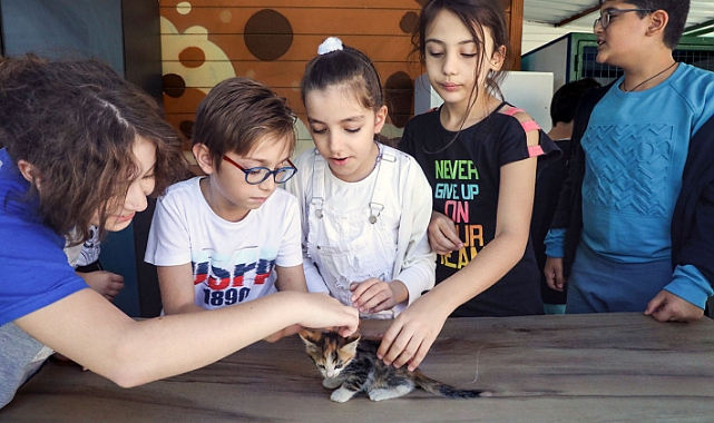 Buca’da can dostları sahipsiz değil