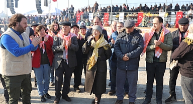 Efes Selçuk'ta Deve Güreşleri Festivali Coşkusu