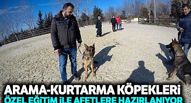 AFAD Arama Kurtarma Köpeklerine uzmanlarca özel eğitim veriliyor