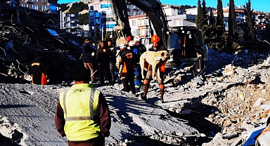 Buca Belediyesi veterinerleri deprem bölgesinde