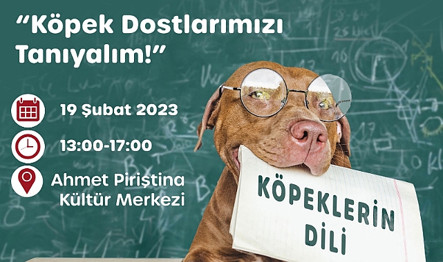 Karşıyaka'da Köpeklerin Dili Eğitimi başlıyor