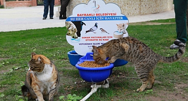 Bayraklı’da kedi evlerinin sayısı 20’ye yükseldi