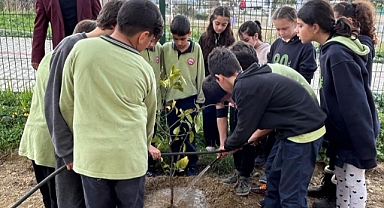 Çeşme’de okul bahçeleri meyve bahçesine dönüşüyor