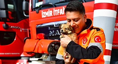 İzmirli itfaiyecilerin maskotu depremzede köpek ATEŞ oldu