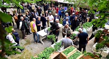 Bornova’da yerel üreticiye 500 bin fide