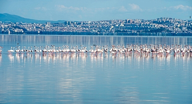 “İzmir Körfezi’nde müsilaj yok”