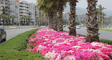 İzmir çiçek açtı