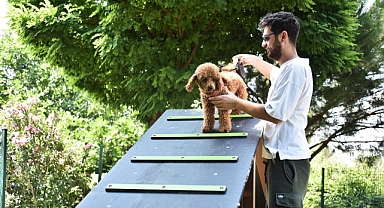 Kemalpaşa'da can dostları için köpek parkı