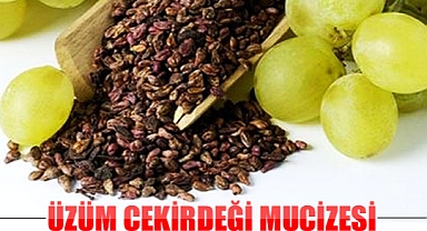 Üzüm Çekirdeği Yaşlanmayı Önlüyor