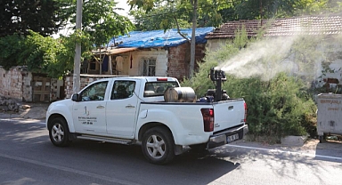 Bayraklı’da ‘ilaçlama’ seferberliği