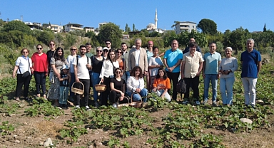 Bornova Kınalı Bamyası’nın hasadı başladı
