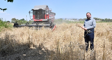 Çiğli Belediyesi'nden Örnek Tarım Uygulaması: İlk Defa Belediye Arazisinde Buğday Hasadına Başlandı