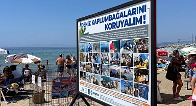 Kuşadası'nda caretta carettalar için koruma önlemi