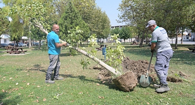 Bornova’da park yenileme hamlesi