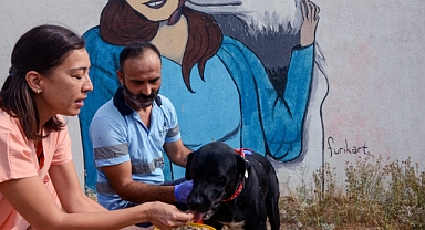 İzmir Büyükşehir Belediyesi can dostlar için üretiyor