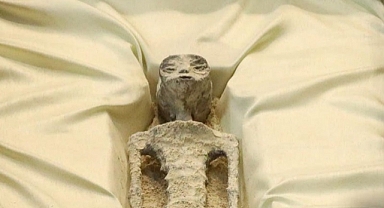 Meksika’da “Uzaylı” Fosili