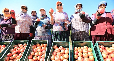 Efes Selçuk Belediyesi, üreticilerin desteklenmesi için 8 Ekim Pazar günü Zeytinköy’de ‘Nar Neşesi Şen Tanesi Şenliği’ düzenliyor