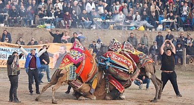 Bergama Folklorik Deve Gösterisi Festivali Yoğun Katılımla Düzenlendi