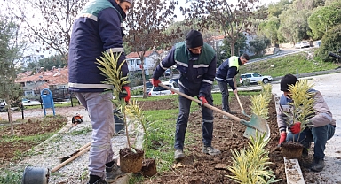 Bornova’da parklara yeni bitkiler dikiliyor