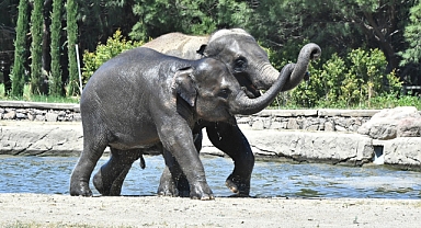 Doğal Yaşam Parkı’na pazartesi molası
