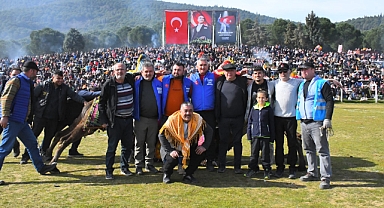 Torbalı’da Deve Güreşi Festivali gerçekleşti