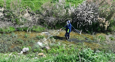 İzmir Büyükşehir Belediyesi ilaçlama çalışmalarına hız verdi
