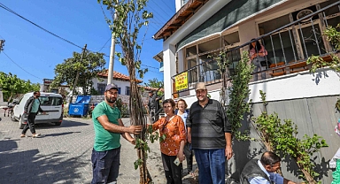 Buca Belediyesi’nden üreticiye fidan desteği