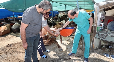Bayraklı Belediyesi Kurban Bayramı’na hazır