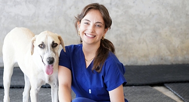 Yılın ilk 6 ayında İzmir’deki barınaklardan 500 köpek sahiplendirildi
