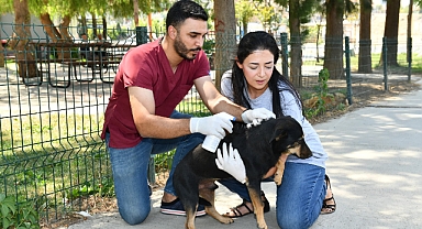 Çiğli’de Can Dostlar için Aşı Mesaisi
