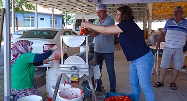 Ayvalık'ta Salça Zamanı
