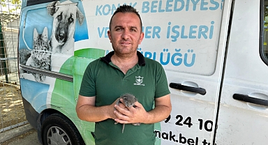 Konak’ta çöpten ‘Umut’ doğdu