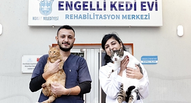 Konak’ın engelleri aşan Kedi Evi’nden sahiplenme çağrısı