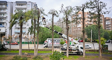 Bornova’da kışa hazırlık başladı