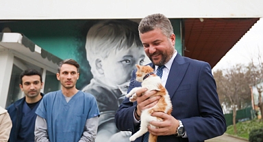 Buca’nın Mucize kedisi